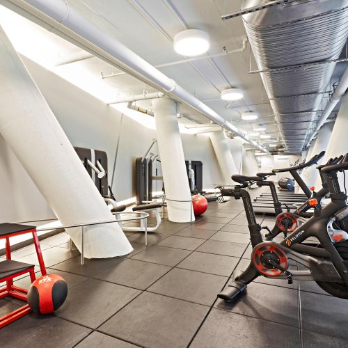 Fitness center showcasing cardio bikes 