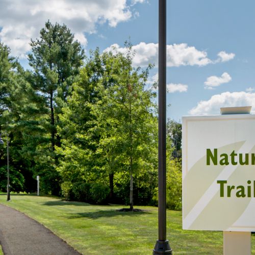 The Village at Taylor Pond