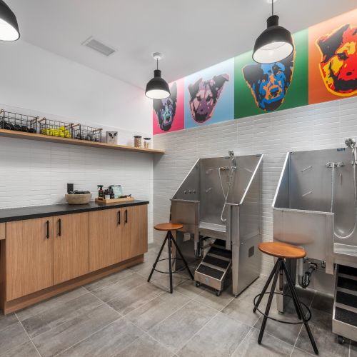 Pamper your pets at our spa’s dedicated dog grooming stations, designed for ease and care.