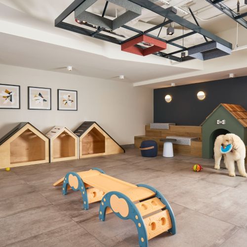 The cutest indoor dog park.