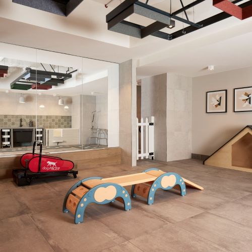 Your pup will love to run at the agility station.