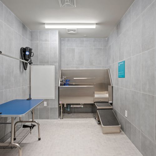 Dynamic workspace with communal table.	