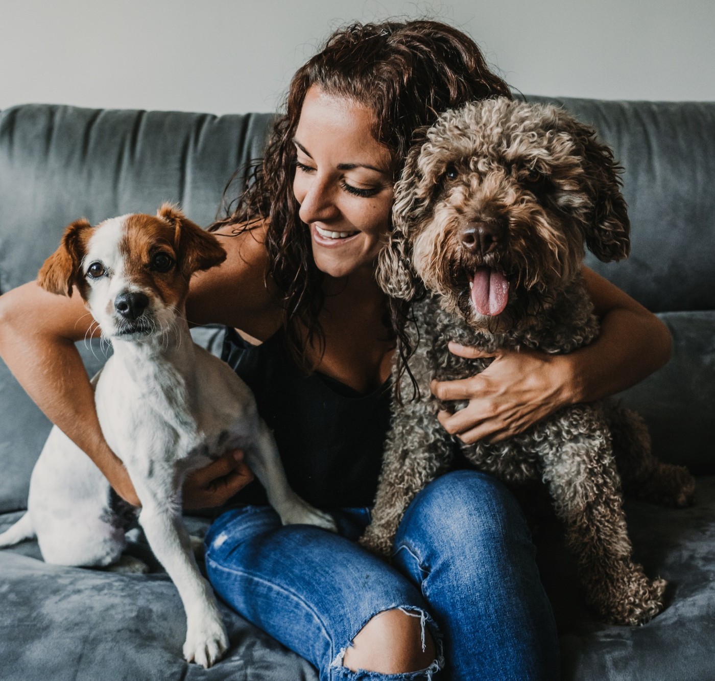 Pet insurance hero image