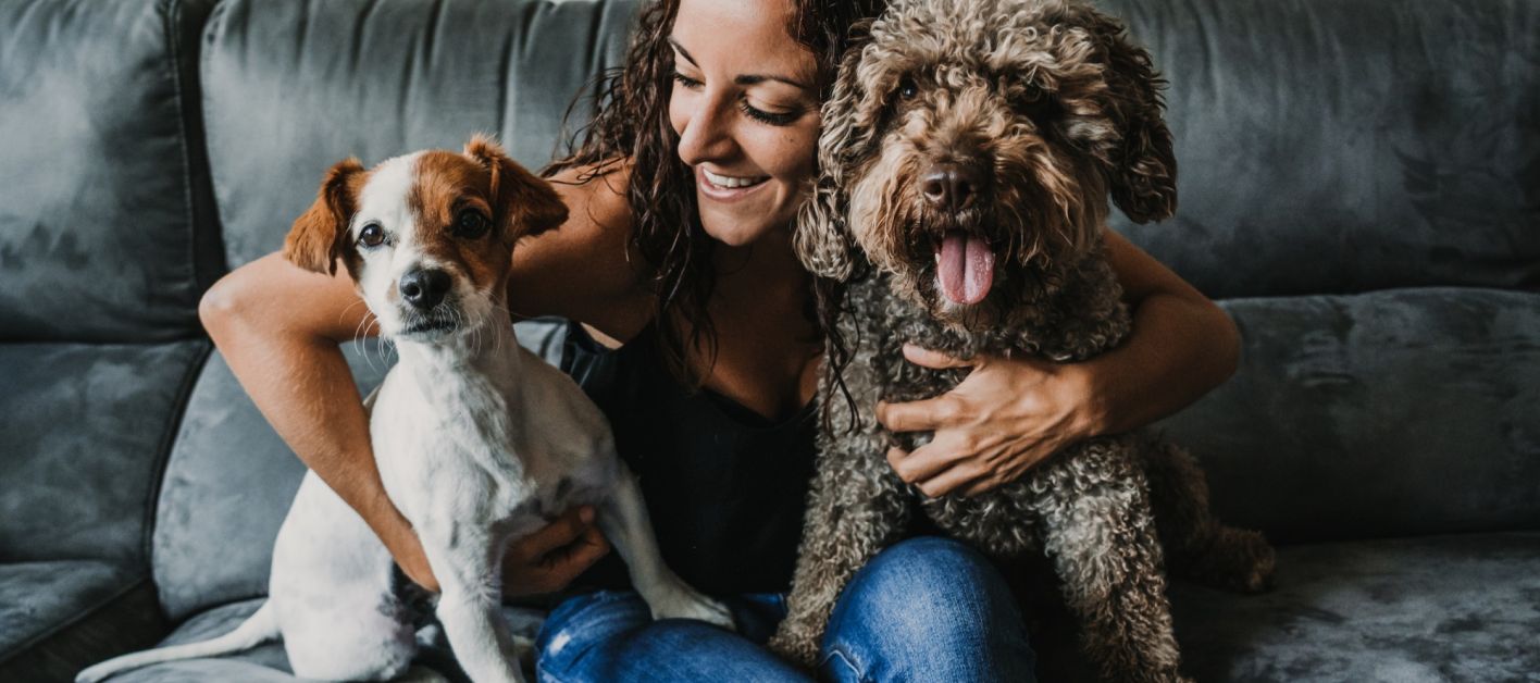 Pet insurance hero image