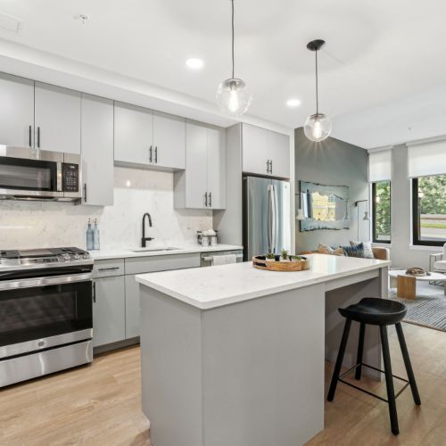 Cook and Entertain in Style With Your Sleek, Modern Kitchen	