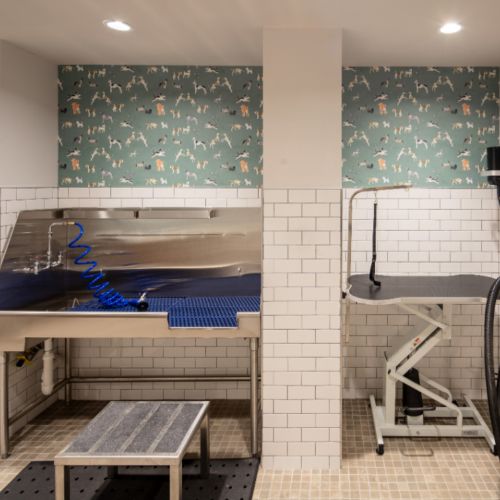 Pet Spa For our Furry Friends	