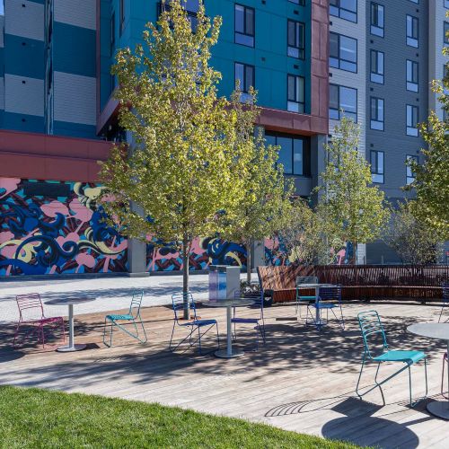 Amaya dog park creating smiles and connections.