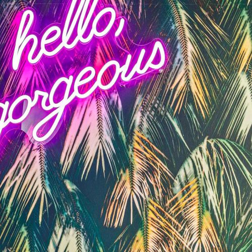 Wide-angle view from the rooftop lounge.	