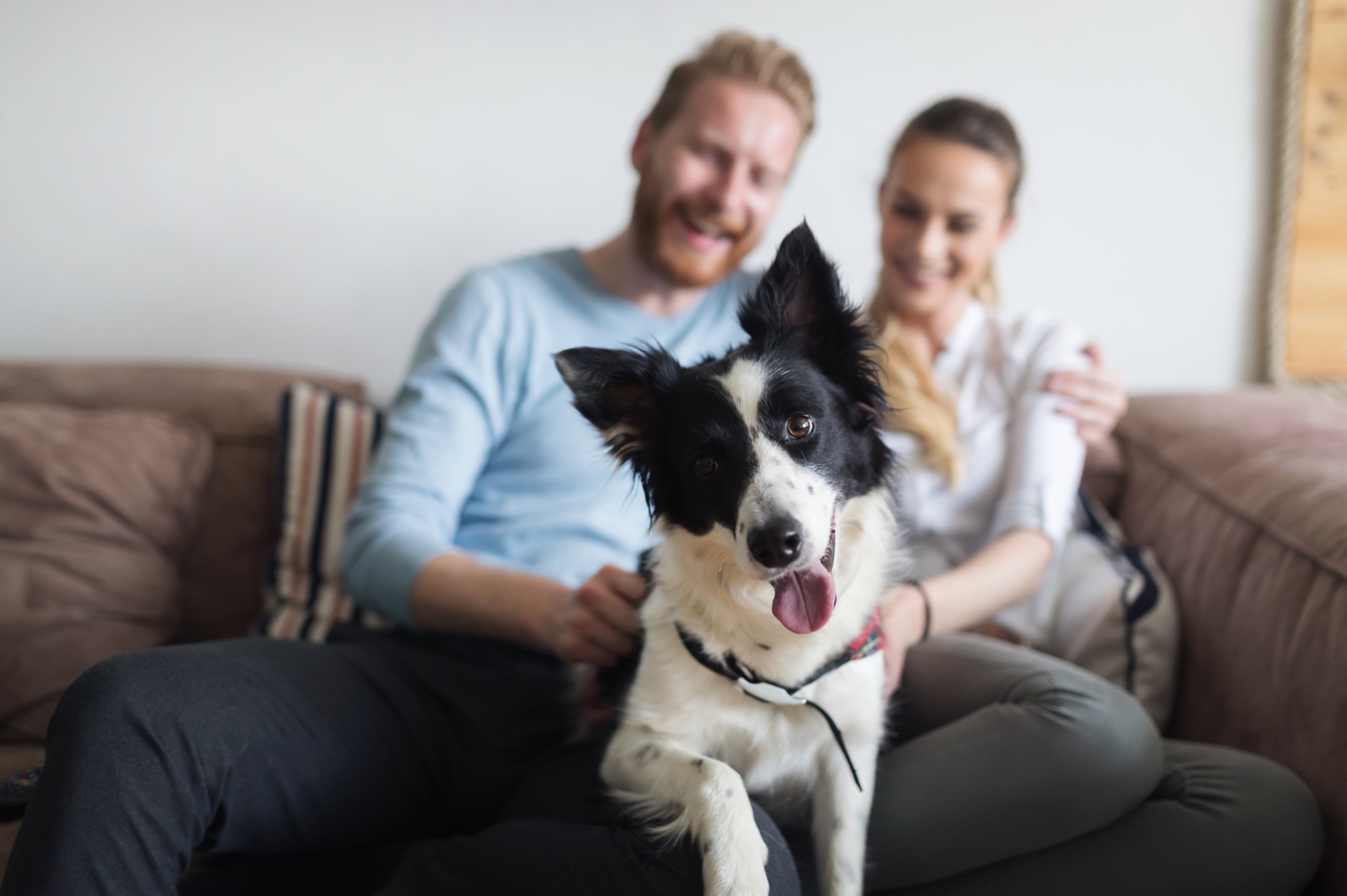 Man & woman seated on a couch with a dog nestled between them