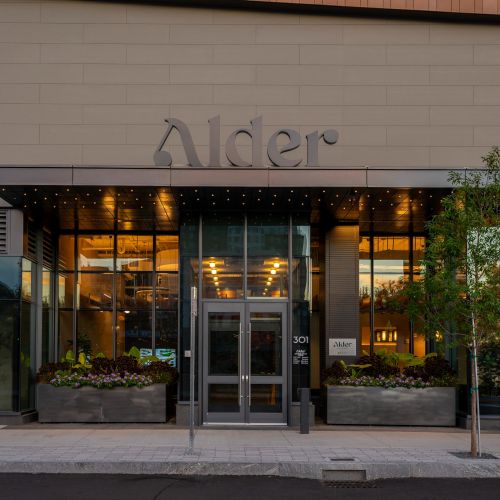 A serene and inviting entrance to Alder, bathed in the warm glow of a sunset.	