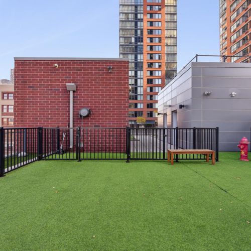 Rooftop dog park