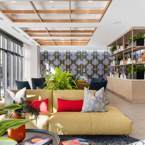 Vibrant lounge seating with ultimate comfort.	