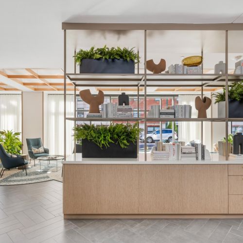 Sleek, functional shelving in a refined lounge.	