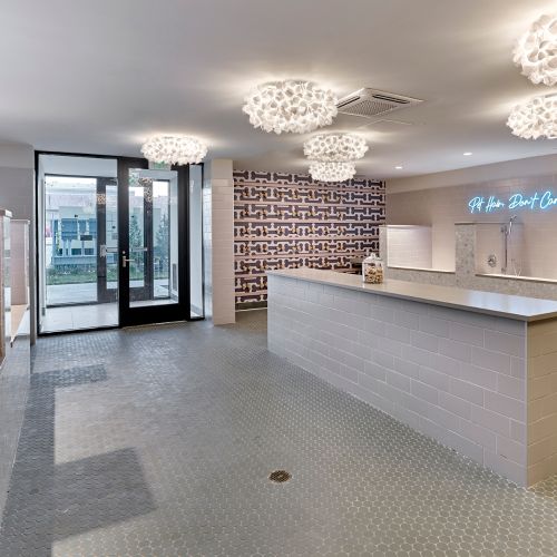 Atlee Square Pet Wash 	