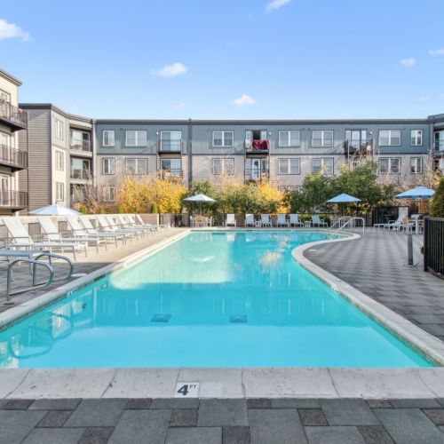 Bay House Emeryville : Pool