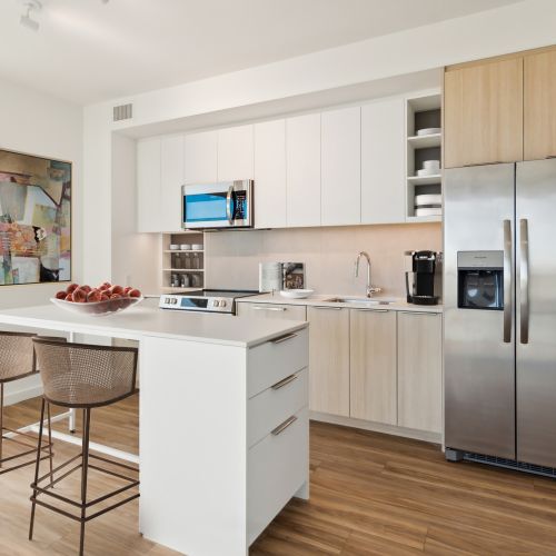 AlulaBridgeDistrict_LuxuryApartmentCommunity_Kitchen_DC	