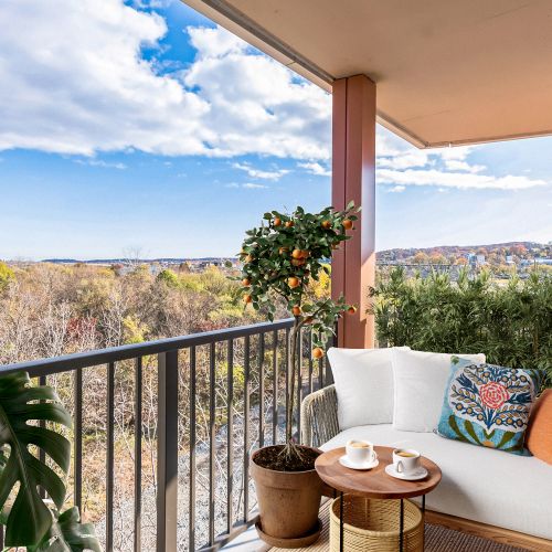 AlulaBridgeDistrict_LuxuryApartmentCommunity_Balcony_DC	