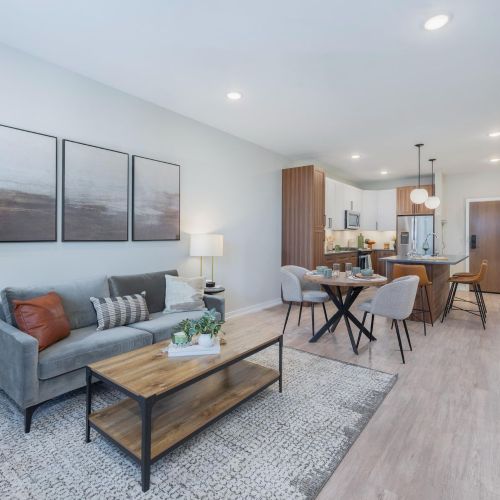 Living room and kitchen 