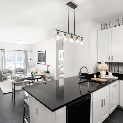 Kitchen and Living Room