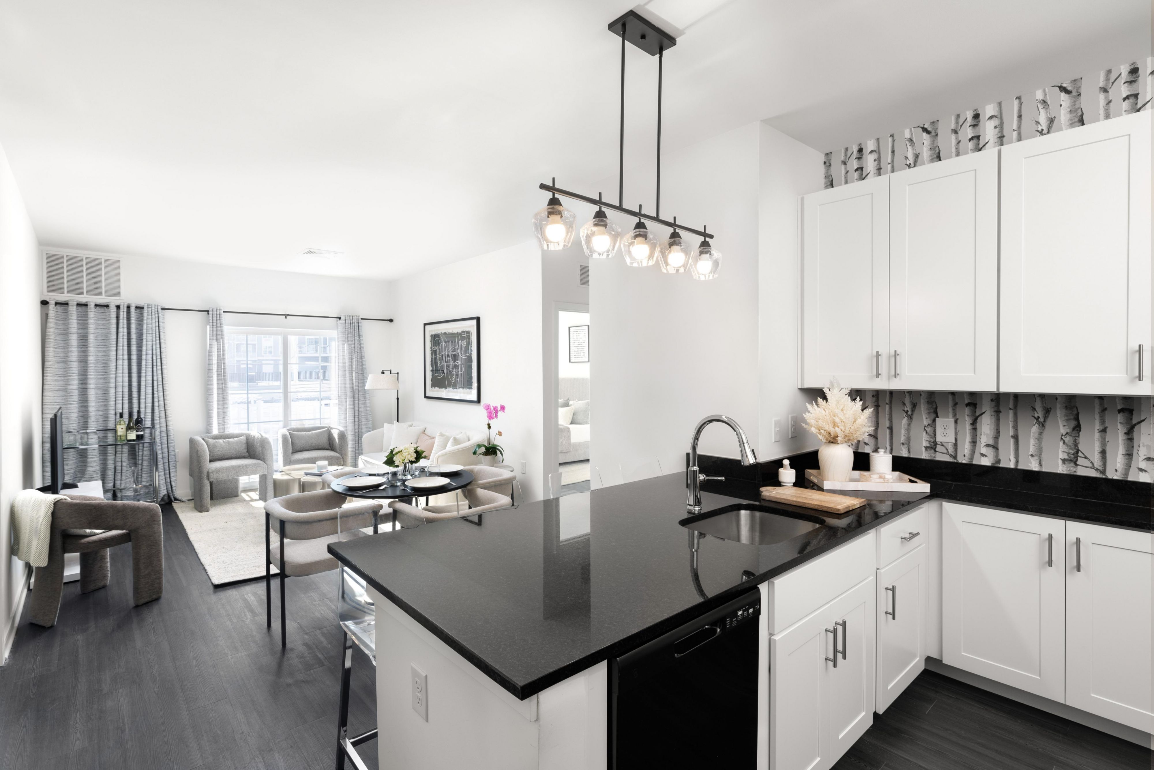 Kitchen and Living Room