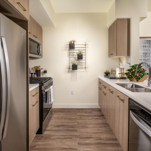 Catherine Santa Monica