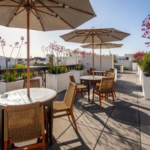 Catherine Santa Monica