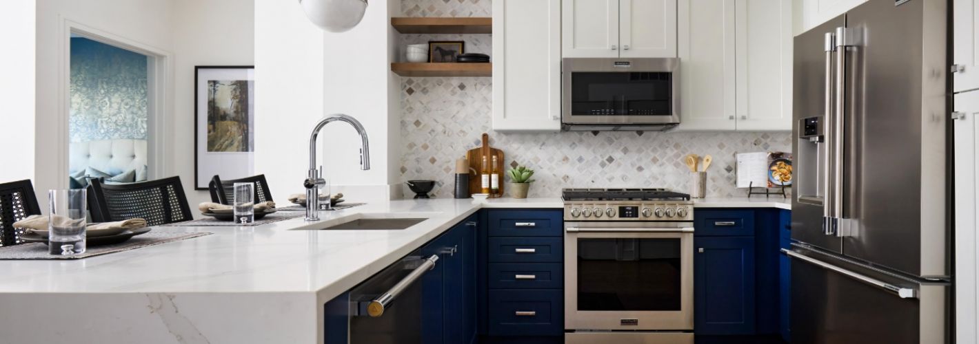 Cecil-Luxury-Kitchen-in-Bethesda-Maryland