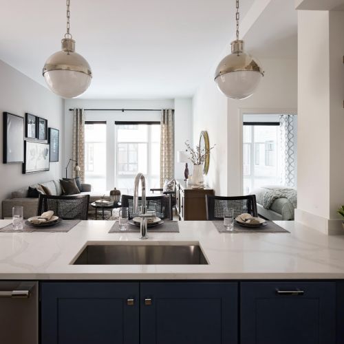 Cecil-Luxury-Living-Room-in-Bethesda-Maryland