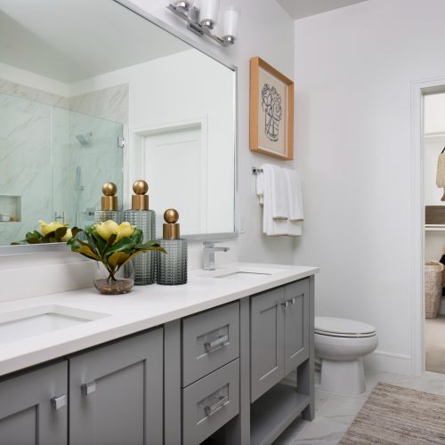 Cecil-Luxury-Bathroom-in-Bethesda-Maryland