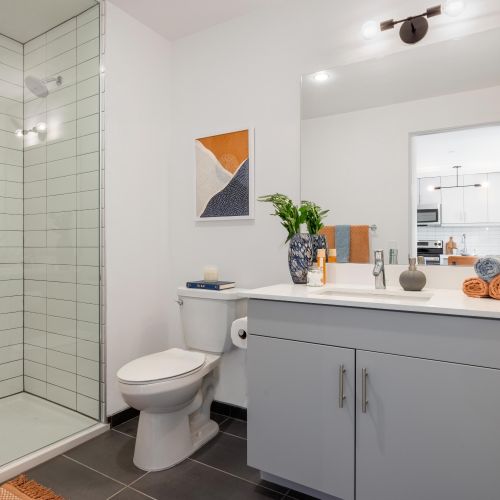 Bathroom with walk-in shower.