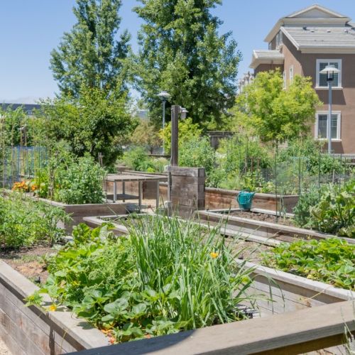 The Apartment Collection at Bay Meadows