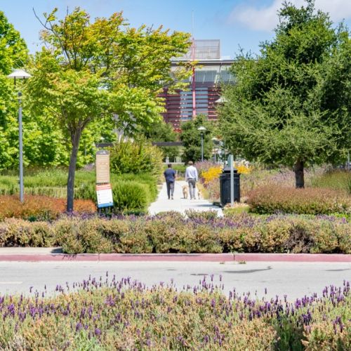 The Apartment Collection at Bay Meadows