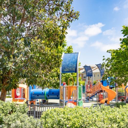 The Apartment Collection at Bay Meadows