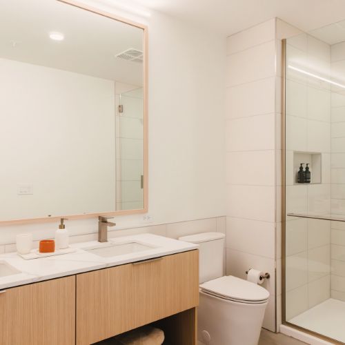 Linea-Luxury-Apartment-Bathroom-Charlotte-North-Carolina