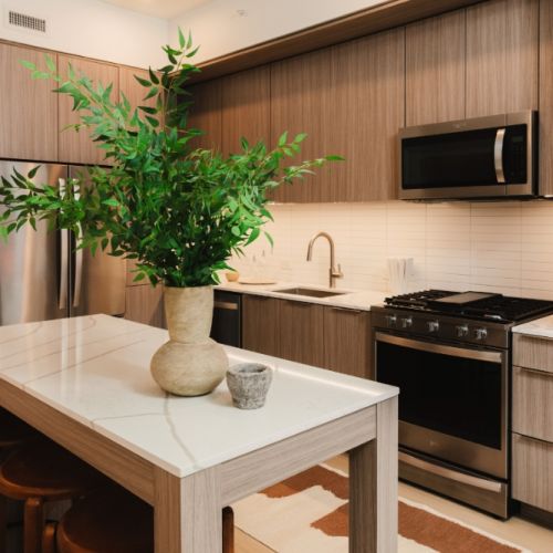 Linea-Luxury-Apartment-Kitchen-Charlotte-North-Carolina