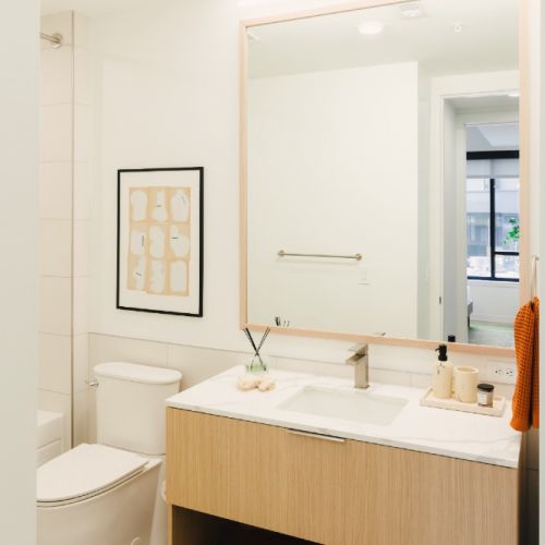 Linea-Luxury-Apartment-Bathroom-Charlotte-North-Carolina