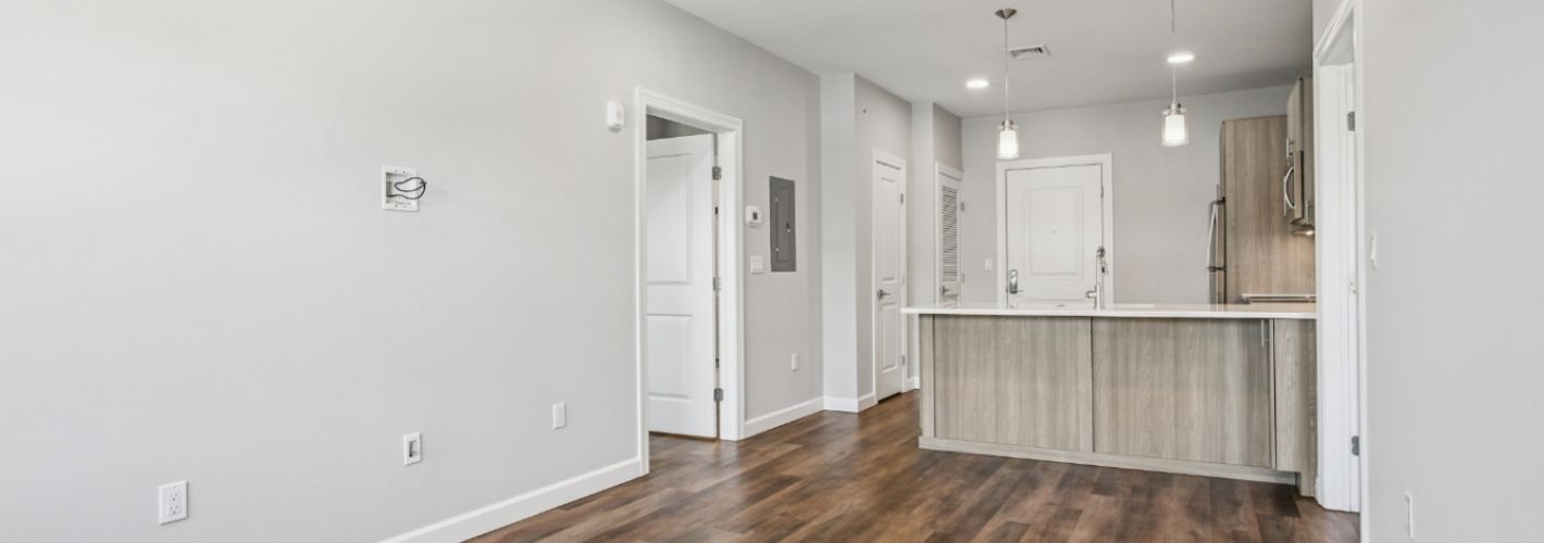 Living Room & Kitchen View