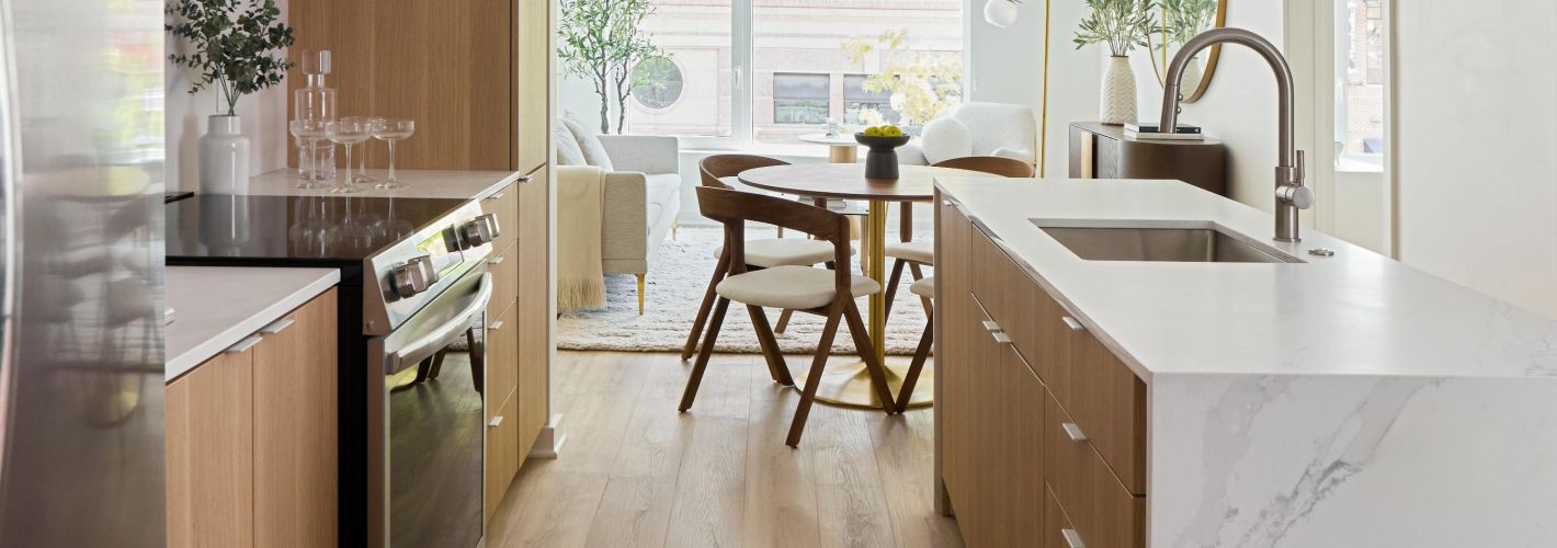 Mazza Luxury Kitchen DC
