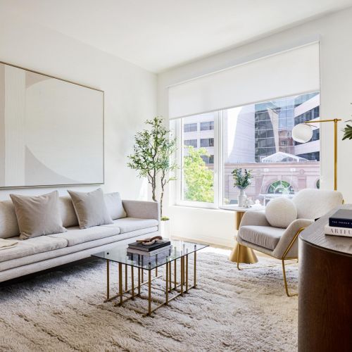 Mazza Luxury Living Room DC