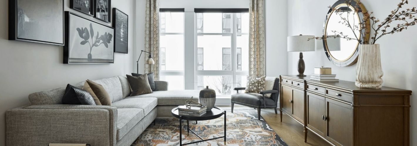 Cecil-Luxury-Living-Room-in-Bethesda-Maryland