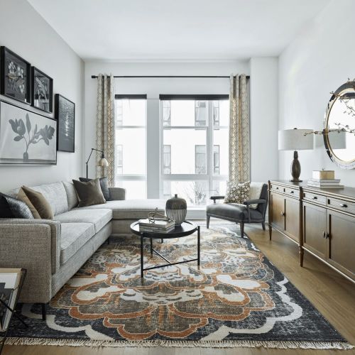 Cecil-Luxury-Living-Room-in-Bethesda-Maryland