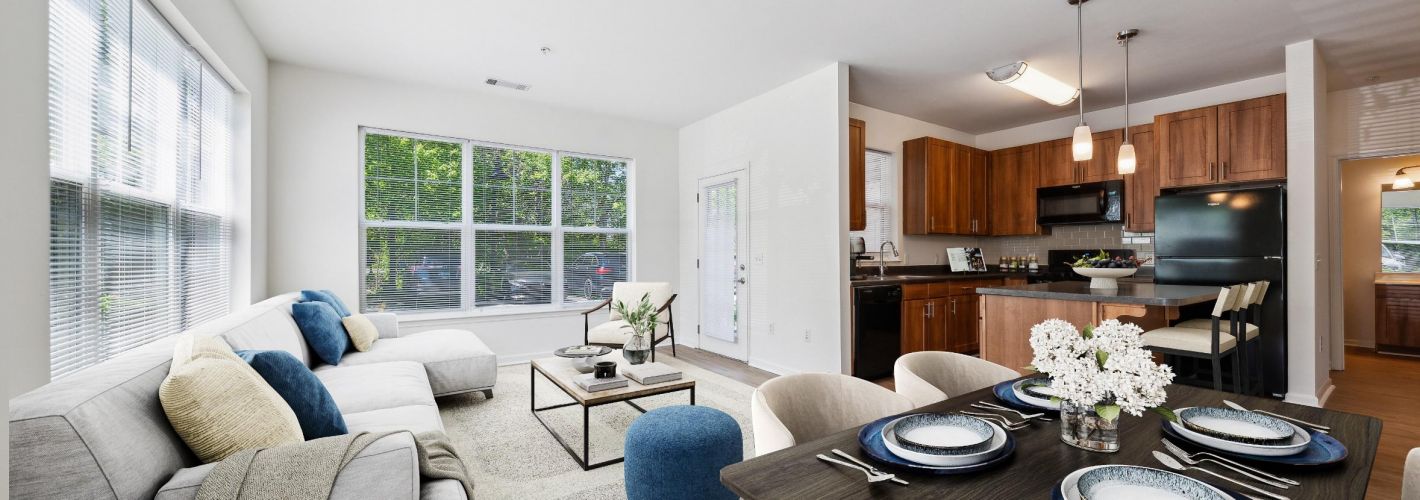 Halstead Norwalk : Living room and Kitchen