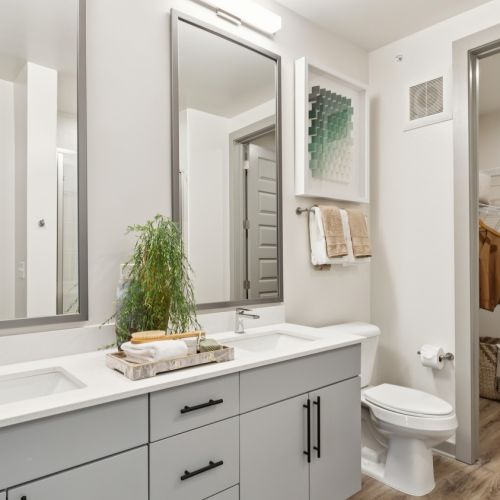 AuraFifty4-Luxury-Community-Bathroom-in-Chapel-Hill-North-Carolina