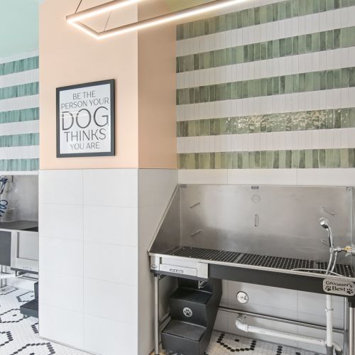 Affina_LuxuryApartments_PetWash_KendallFlorida
