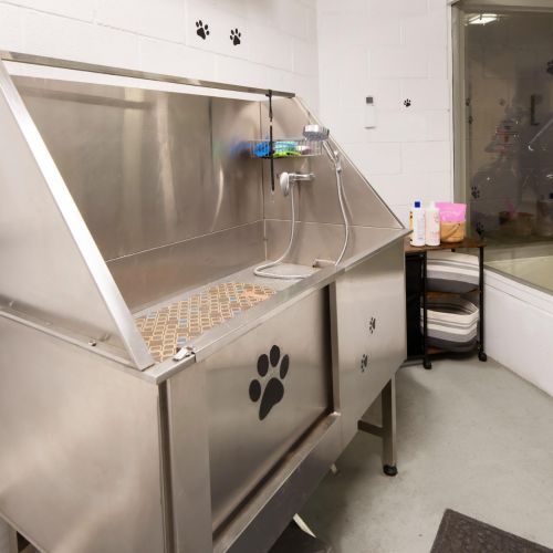 Keep your pet fresh in our on site spa