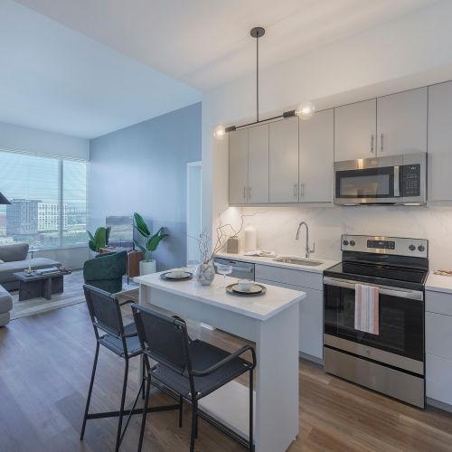 Living Room and Kitchen