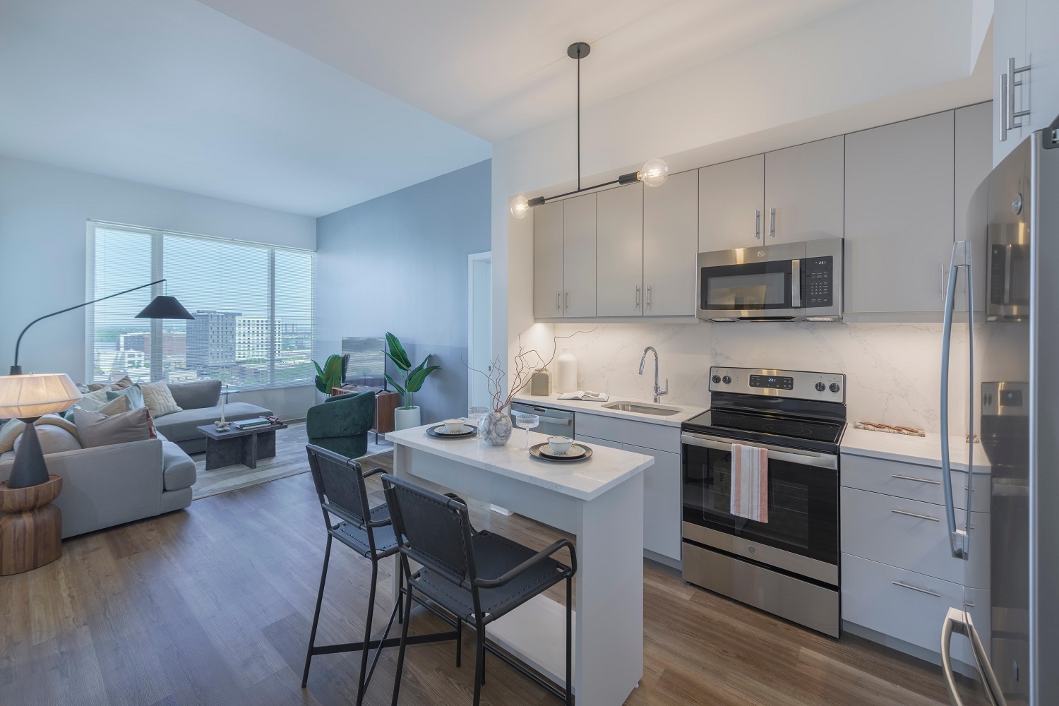 Living Room and Kitchen