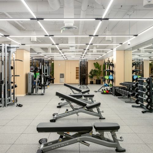 Fully equipped gym to power your fitness journey