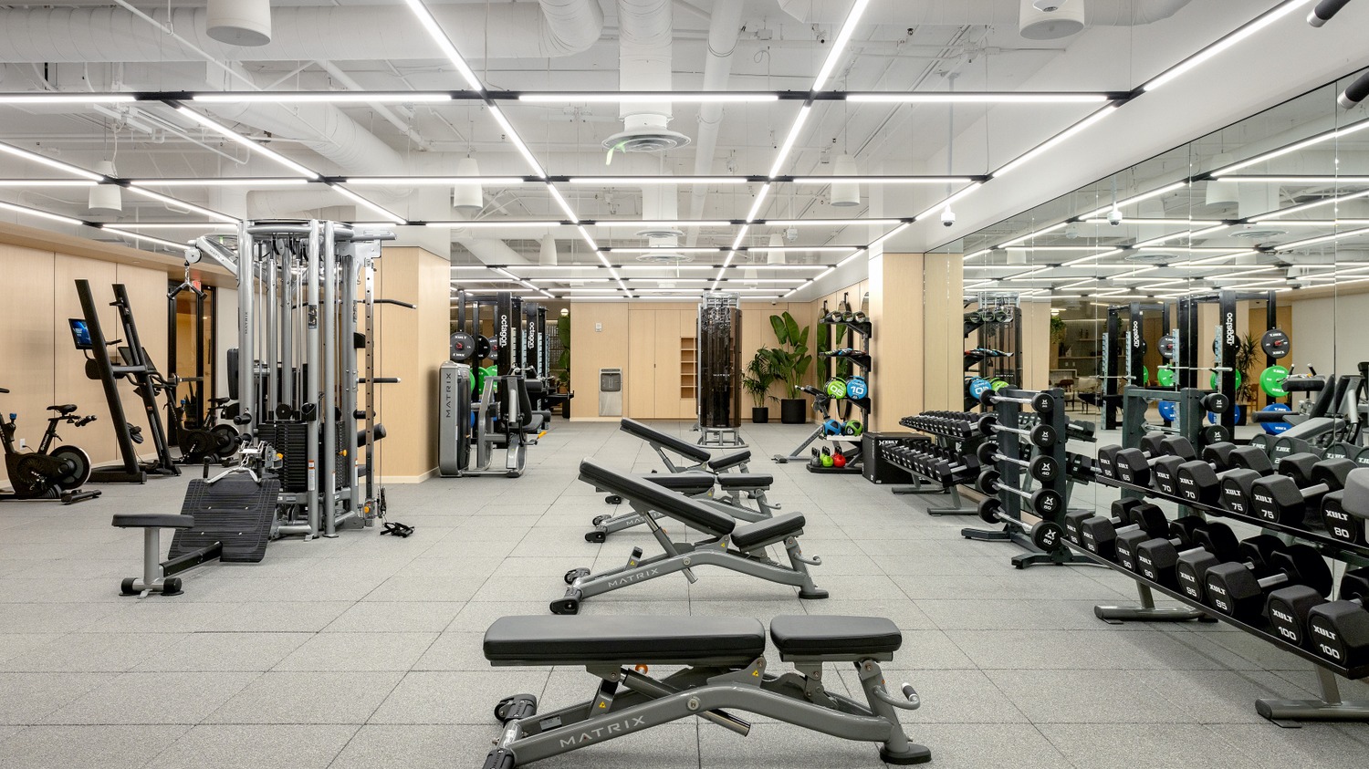 Verdosa : Fully equipped gym to power your fitness journey