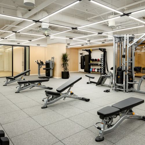 Stay active with top-tier equipment and open space